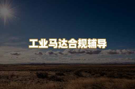 工业马达合规辅导