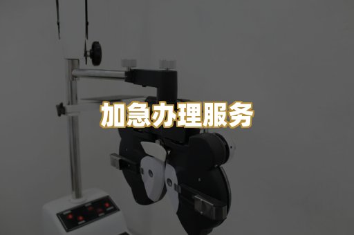 加急办理服务