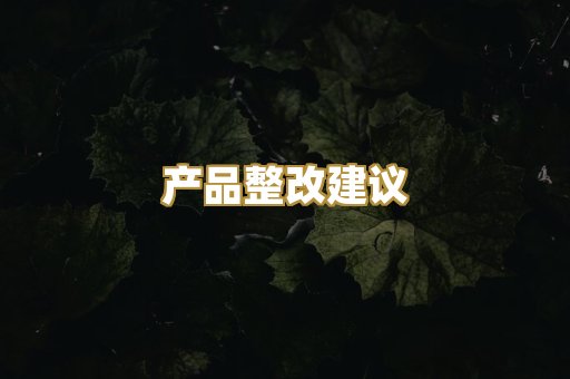 加急办理服务
